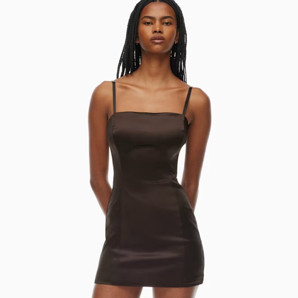 Aritzia Dress